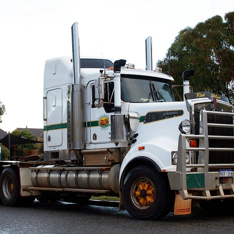 Maîtriser le Budget en Publicité sur Camion: Optimiser vos Dépenses pour un Impact Maximisé